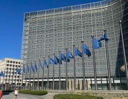 Segir fulltrúa ESB hafa komið af fjöllum