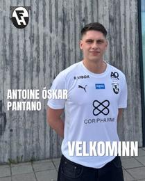 FH-ingar styrkja sig