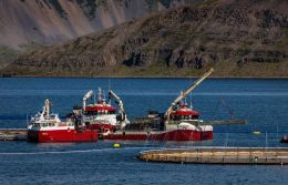 Líklegt talið að met falli á árinu