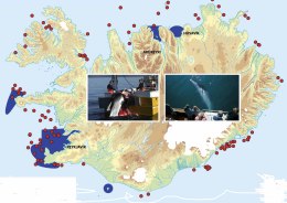 Kort sem Hvalaskoðunarsamtök Íslands segja sýna hvar hvalir hafa verið …