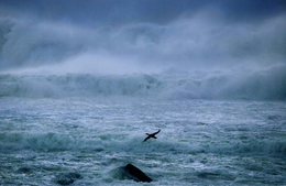 Veðurstofan varar við vindhviðum