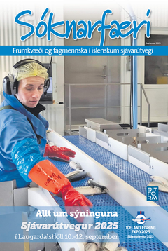 Sóknarfæri