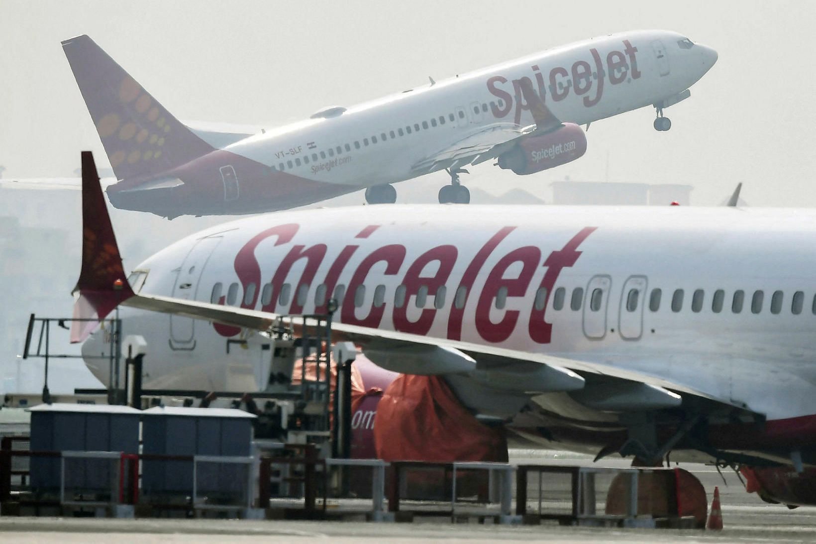 Parið leigði vél SpiceJet fyrir brúðkaupið.