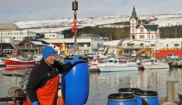 Mikil óvissa tengd grásleppuveiðum