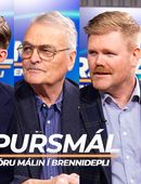#70. - Fellir mál Ásthildar Lóu ríkisstjórnina?