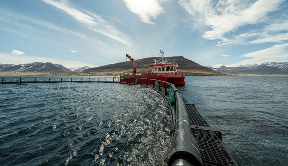 Tillaga að leyfi Arctic Fish í Ísafjarðardjúpi auglýst