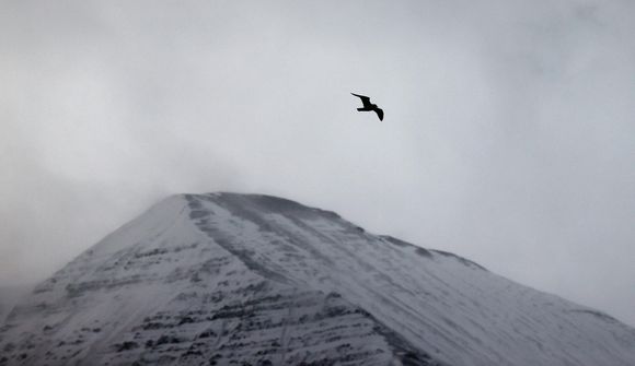 Snarpar hviður í fyrramálið