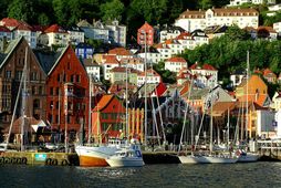 Lestin frá Osló til Bergen tekur um sex og hálfan klukkutíma.