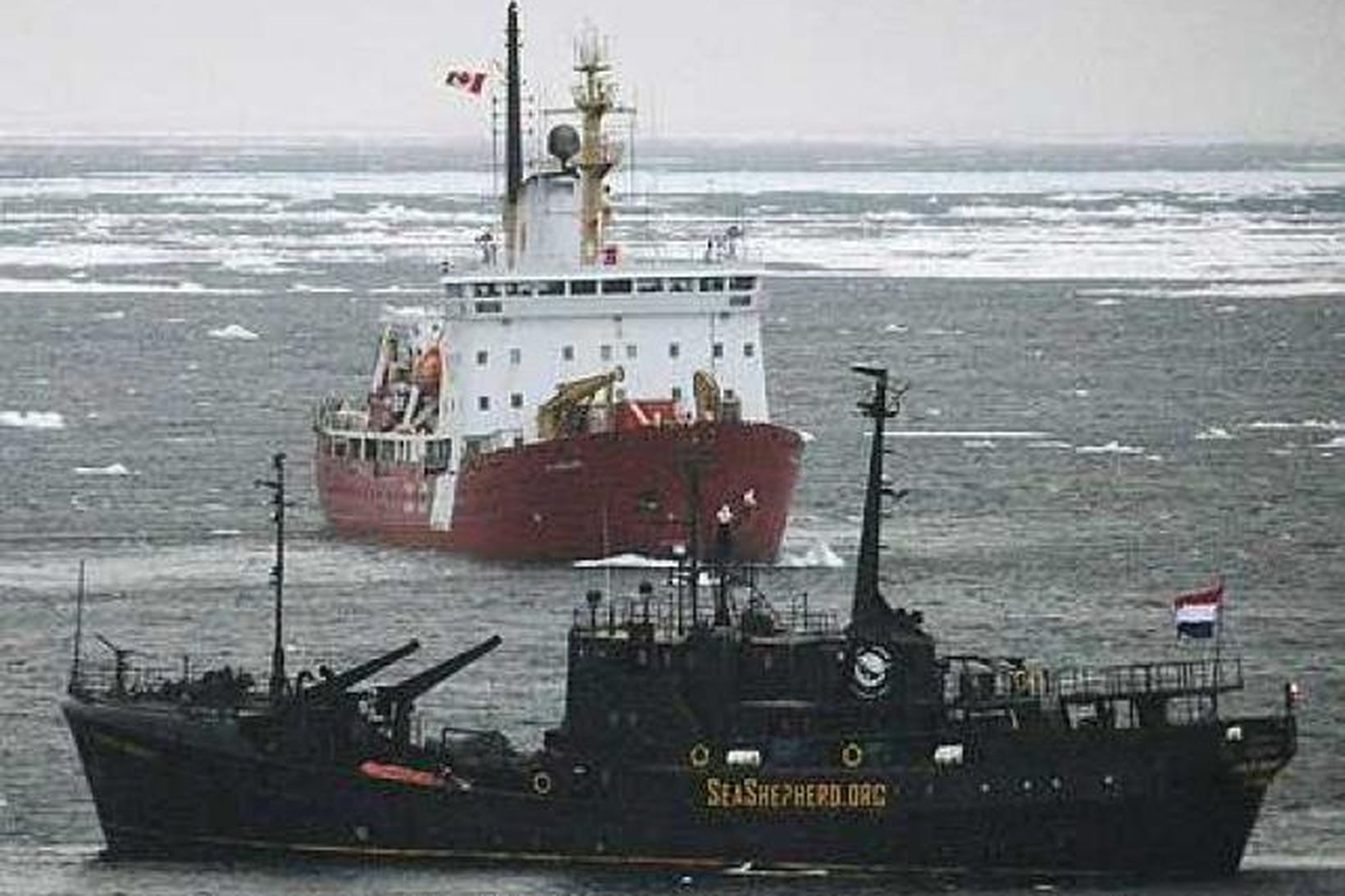 Skip Sea Shepherd samtakanna, Farley Mowat, fyrir utan strendur Kanada.