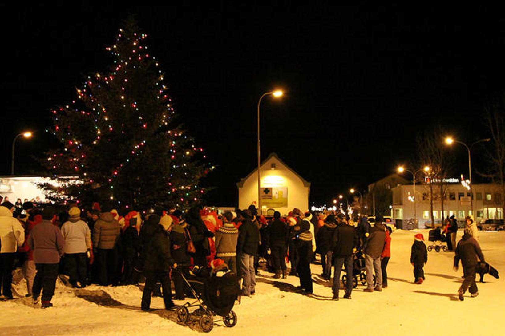 Húsvíkingar nutu jólalegrar stundar við jólatréð, sem stendur að venju …