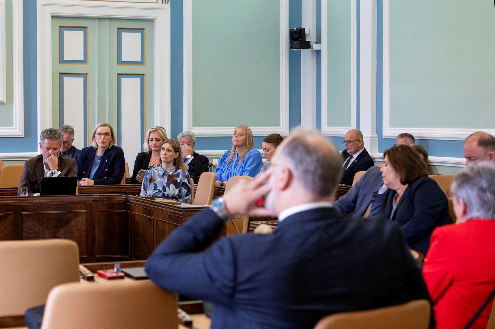 Hlutverk þeirra er að vera í andstöðu