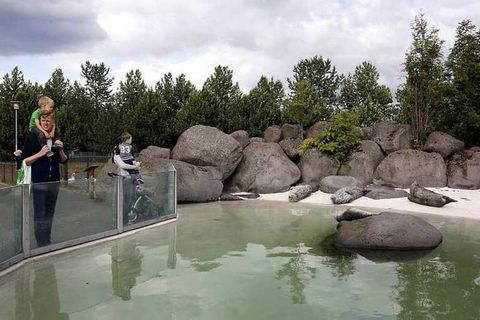 The seal pond at the Reykjavik Zoo and Family Park from which the seal cub escaped last weekend.