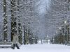 It's heading for a white Christmas across almost the entire country.