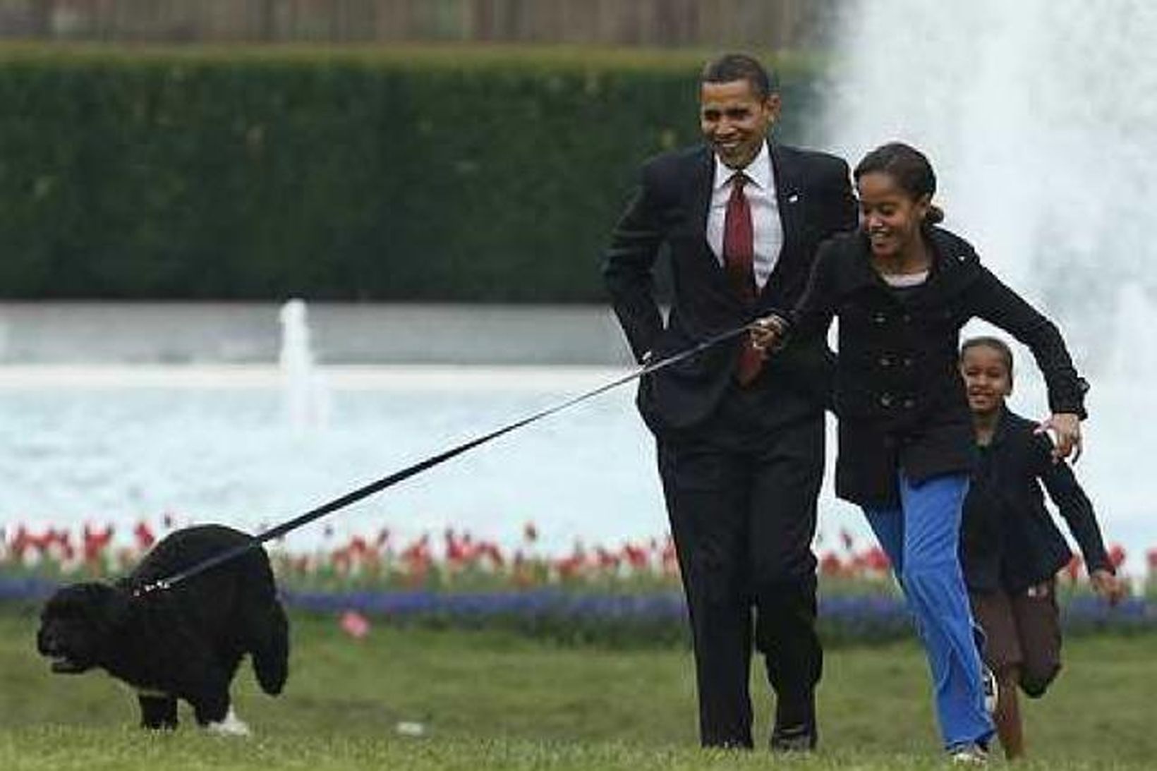 Obama og dætur hans leika við forsetahundinn Bo.