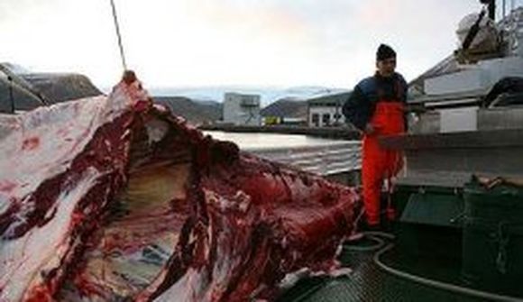 „Sjáum í þessu ágæt viðskiptatækifæri“