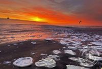 Siglt við jökulröndina á Dornbanka