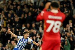 Jack Hinshelwood fagnar eftir að hafa komið Brighton í stöðuna 3:2 gegn Liverpool í kvöld.