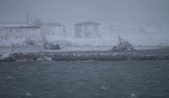 Mengunin í höfninni líklega minni en talið var