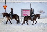 Konur á baki að hugsa um Kvennakvöld Fáks mynd 2