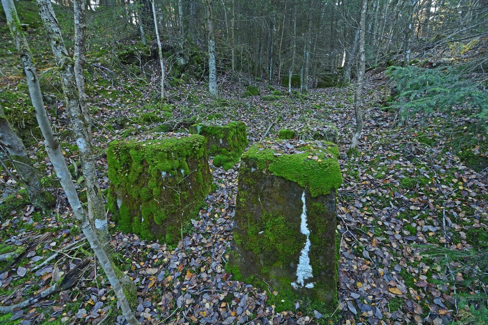 Gjellebekkmyrene í Lier er svæði milli E18-brautarinnar og Gamle Drammensvei …