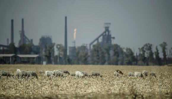 Fyrirheitin hrökkva ekki til