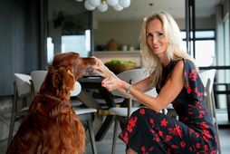 Anna Linda Guðmundsdóttir er mikil hundakona og hefur átt írska setterhunda allt frá því á …