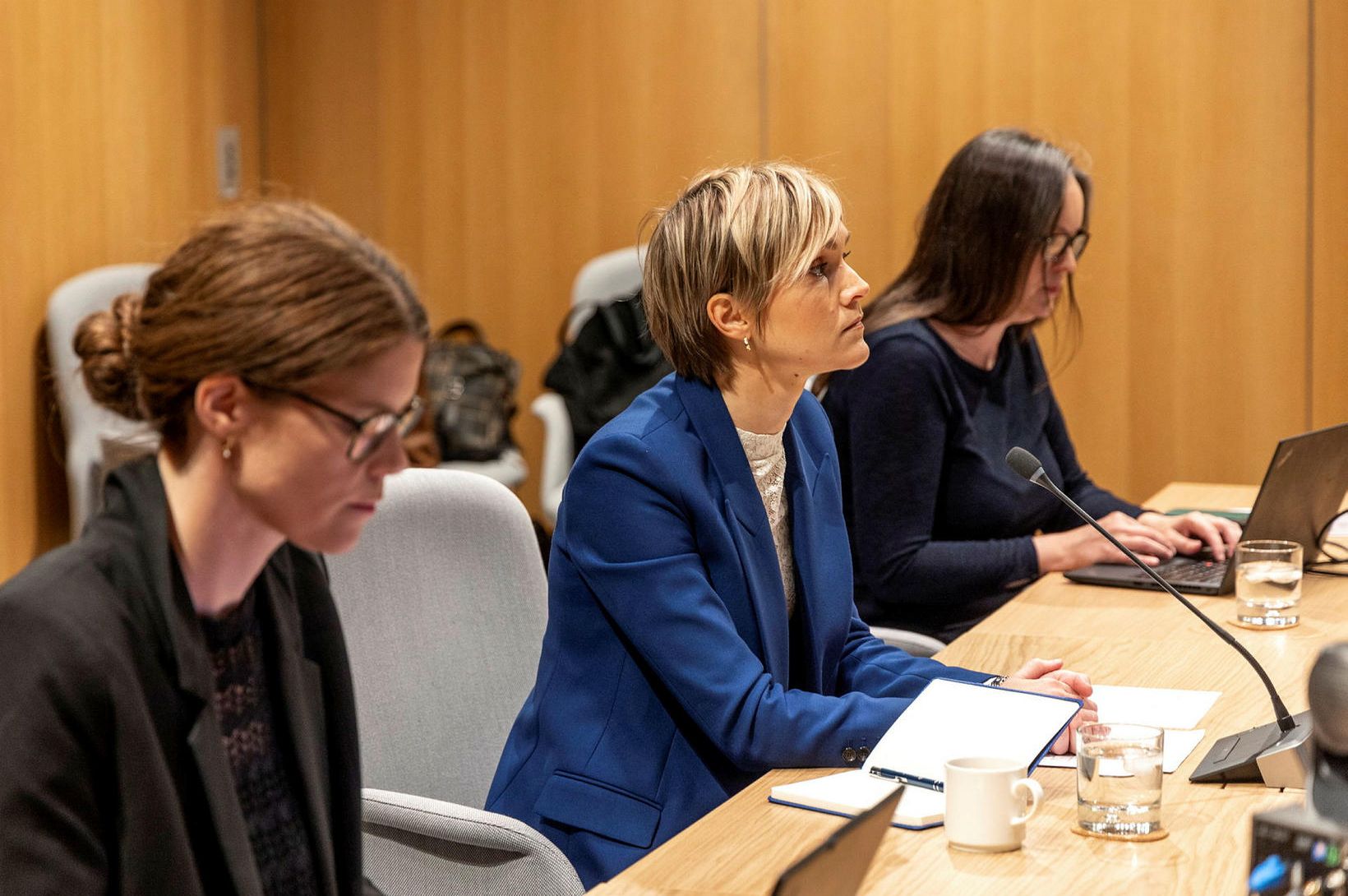 Óvíst hvort málið hefði dagað uppi