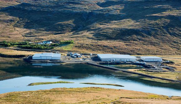 Munar um framleiðsluna hjá Arctic Fish