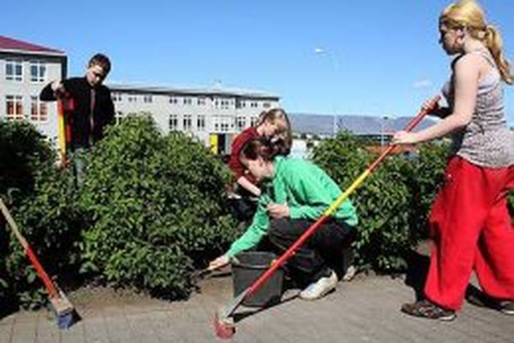 Unglingar í Vinnuskóla Reykjavíkur að störfum.