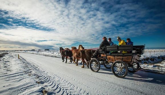 Bannað að keyra hestvagn vegna grænkera