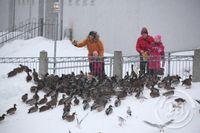 Baráttan um brauðið 