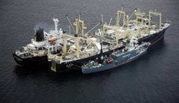 Engin sátt í hvalveiðiráðinu
