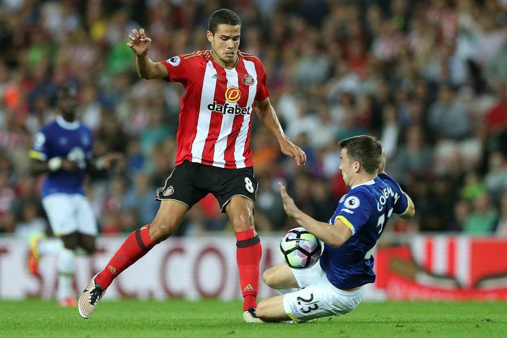 Jack Rodwell í leik með Sunderland gegn uppeldisfélagi sínu Everton …