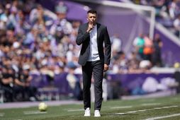 Paulo Pezzolano er nýr knattspyrnustjóri Watford.