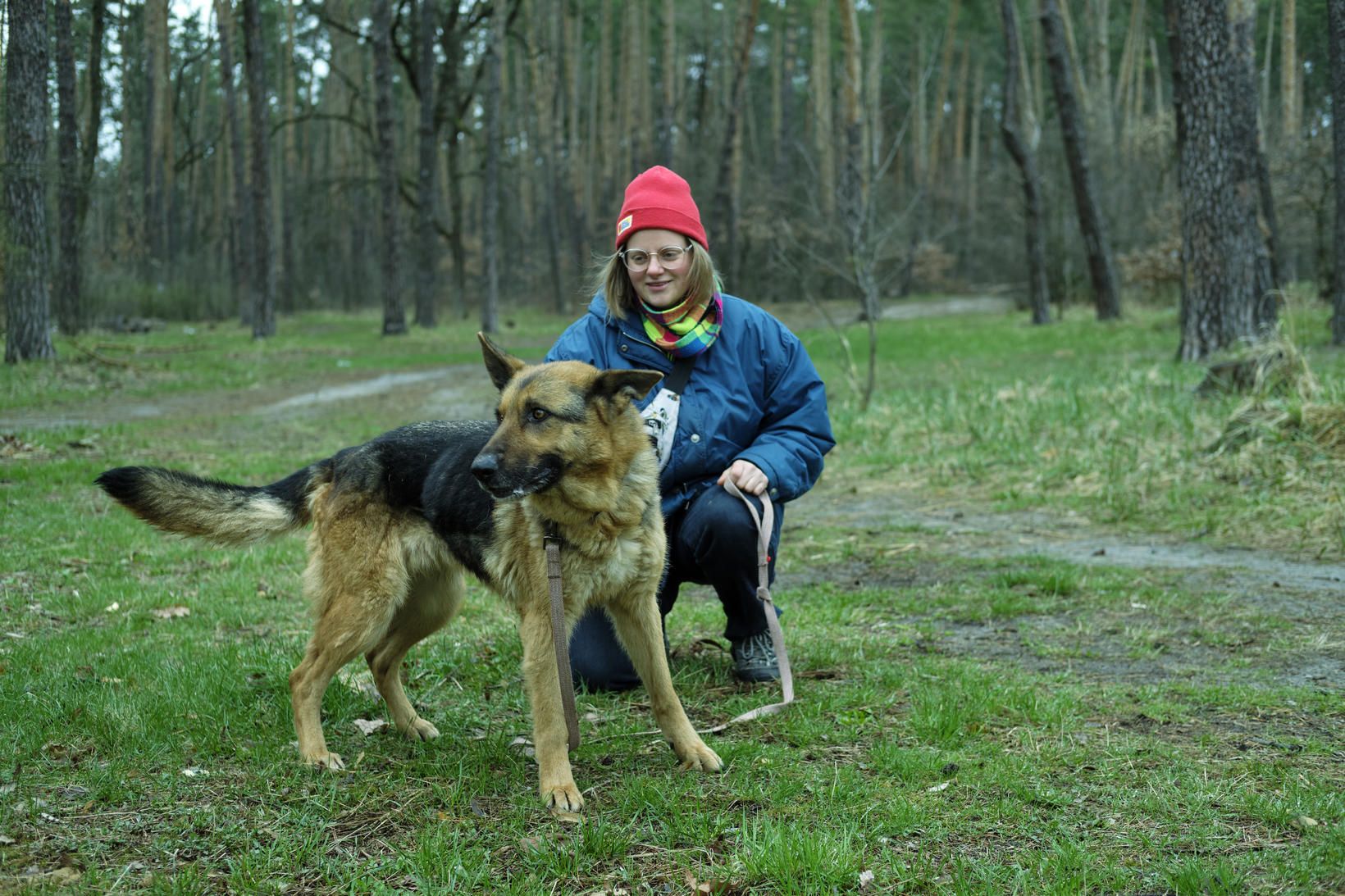 Nika leikur við hundinn í skóginum í dag en hundurinn …