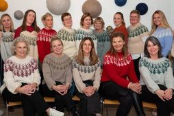 Sigrún Halla Halldórsdóttir, Guðrún Inga Sívertsen, Þóra Ólafsdóttir, Kristín Huld Gunnlaugsdóttir, Vigdís Guðjónsdóttir, Magnea Ragna …