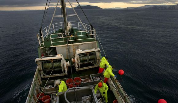 Ný lög um aukið eftirlit Fiskistofu í samráðsgátt