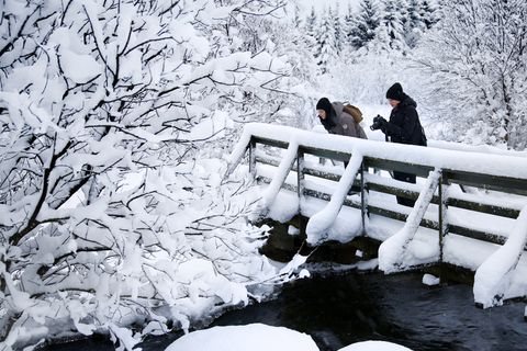 Tourists admiring snow in Reykjavik.