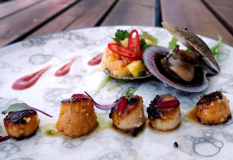 This scallop dish from Sjávarpakkhúsið brings exotic flavours to a local ingredient.
