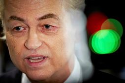 Geert Wilders hefur tekist að koma flokki sínum í ríkisstjórn.