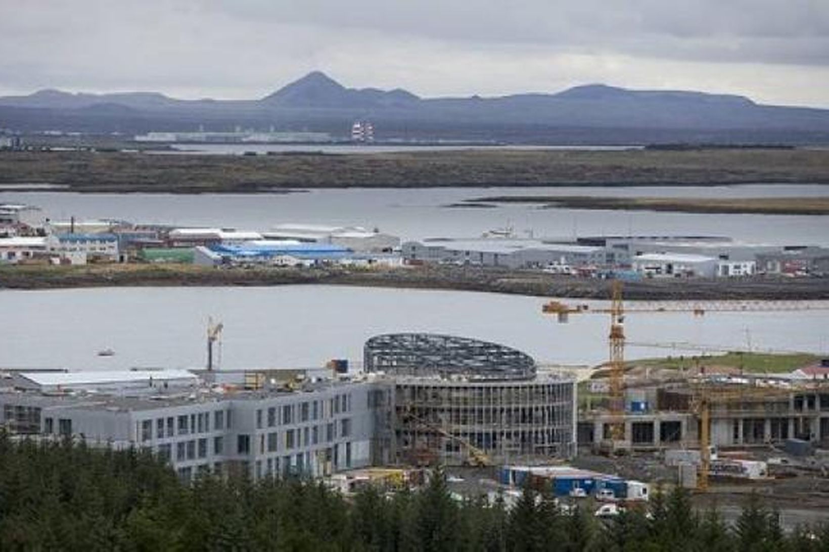 Háskólinn í Reykjavík.