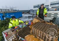 Jólatrjám og gamlaársrusli safnað saman