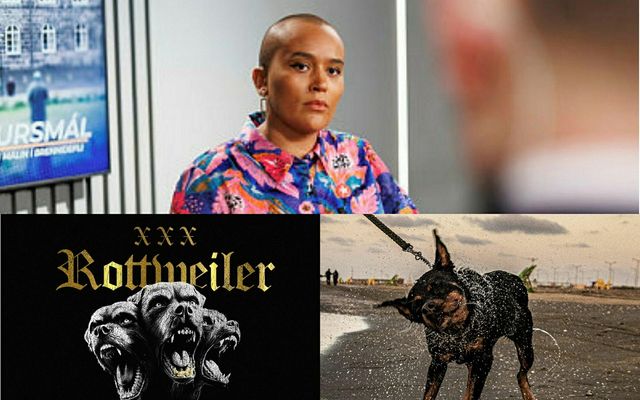 Borgarfulltrúinn Sanna Magdalena liggur í Rottweiler-flensunni um þessar mundir.