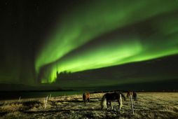 Búast má við góðum skilyrðum til að sjá norðurljós í kvöld.