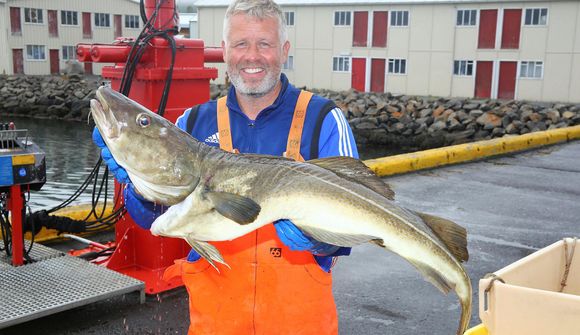 Fá 55,6% meira fyrir strandveiðiaflann