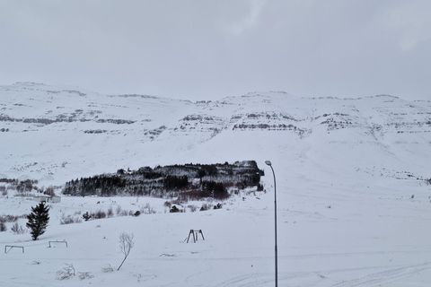 Óvissustigi almannavarna hefur verið lýst yfir vegna snjóflóðahættu á Seyðisfirði og í Neskaupstað.