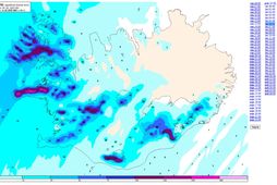 Uppsöfnuð úrkoma á næstu 48 klukkustundum.