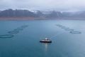 Gagnsæi Arctic Fish hefur ákveðið að gera fjölbreytt gögn um starfsemi fiskeldisfyrirtækisins aðgengileg almenningi á heimasíðu félagsins.