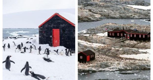 Lífið á Goudier-eyju.