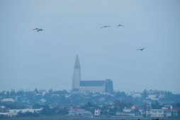Blá gosmóða yfir Reykjavík í ágúst 2024. Móðan getur orsakað slen, höfuðverk, ertingu í augum …